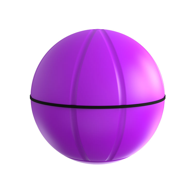 自动宠物玩具球-紫